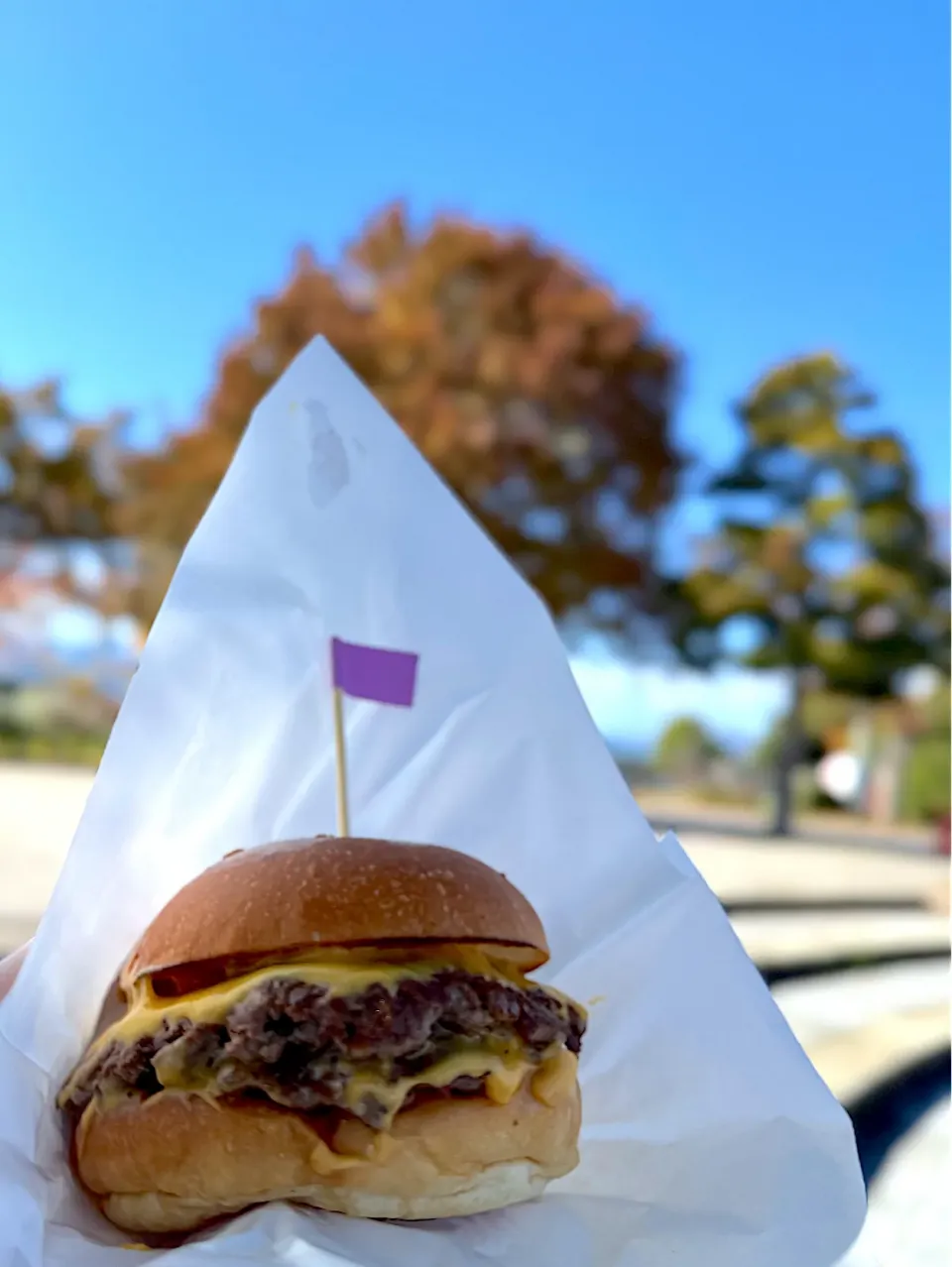 Yasuda burger のスマッシュバーガー！|ツナコさん