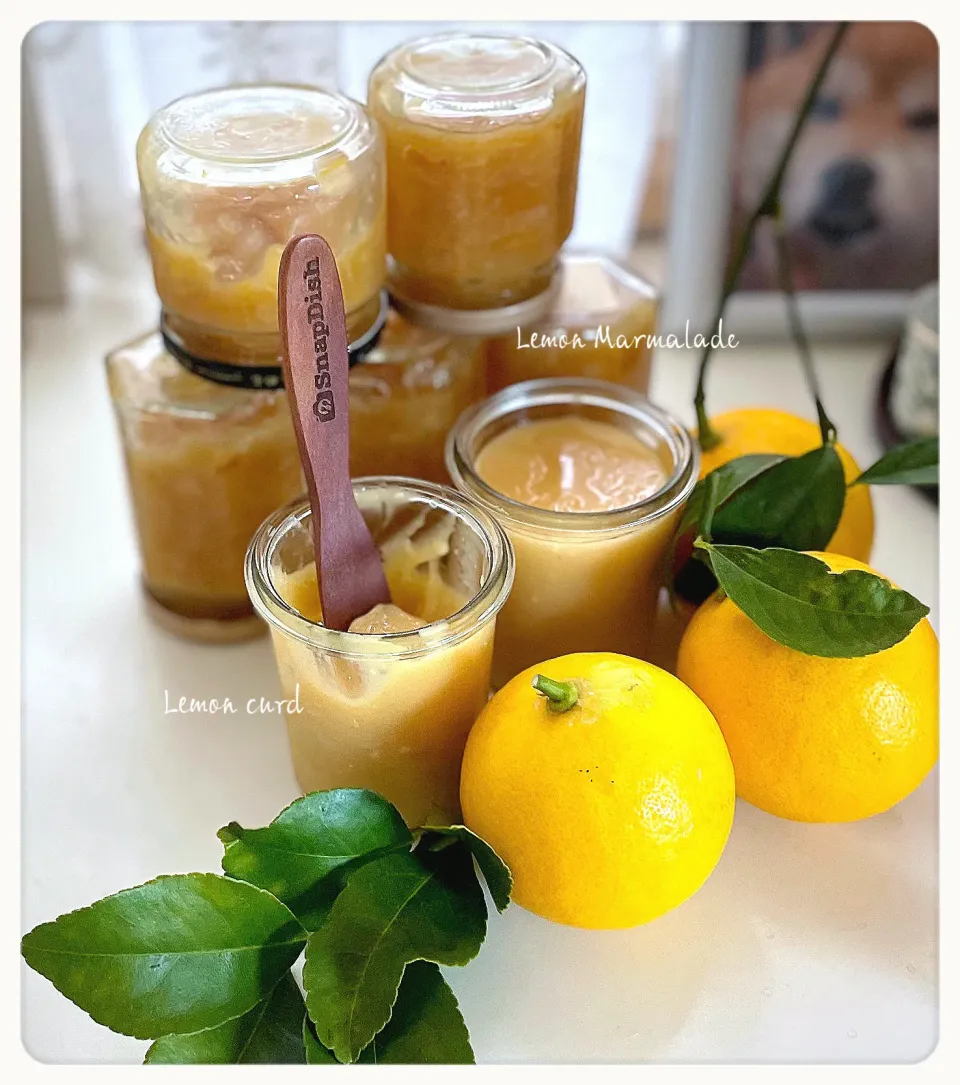 レモンカード🍋                                             レモンマーマレード🍋|yucca@さん