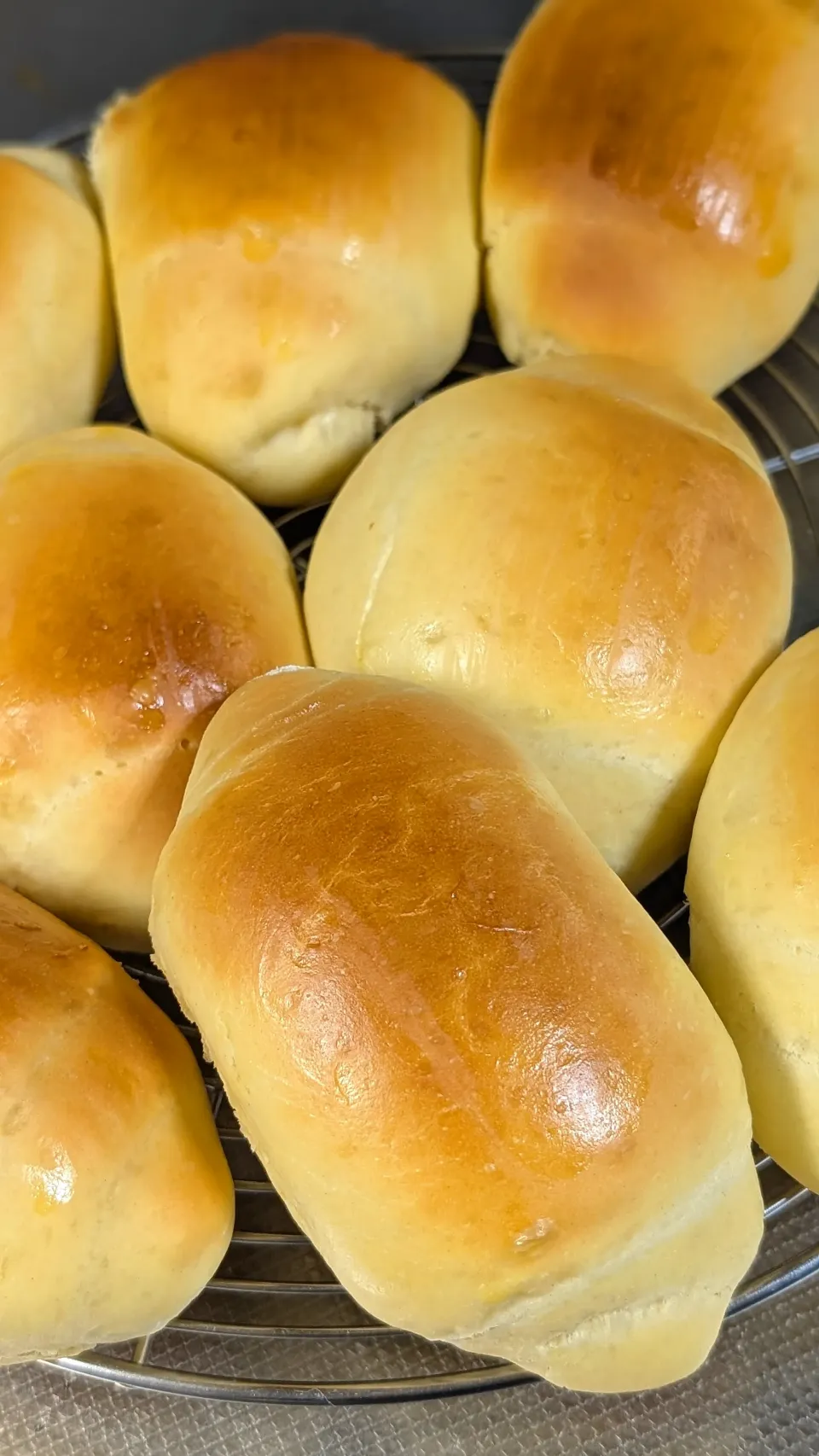 本日のロールパン|f.1125beさん