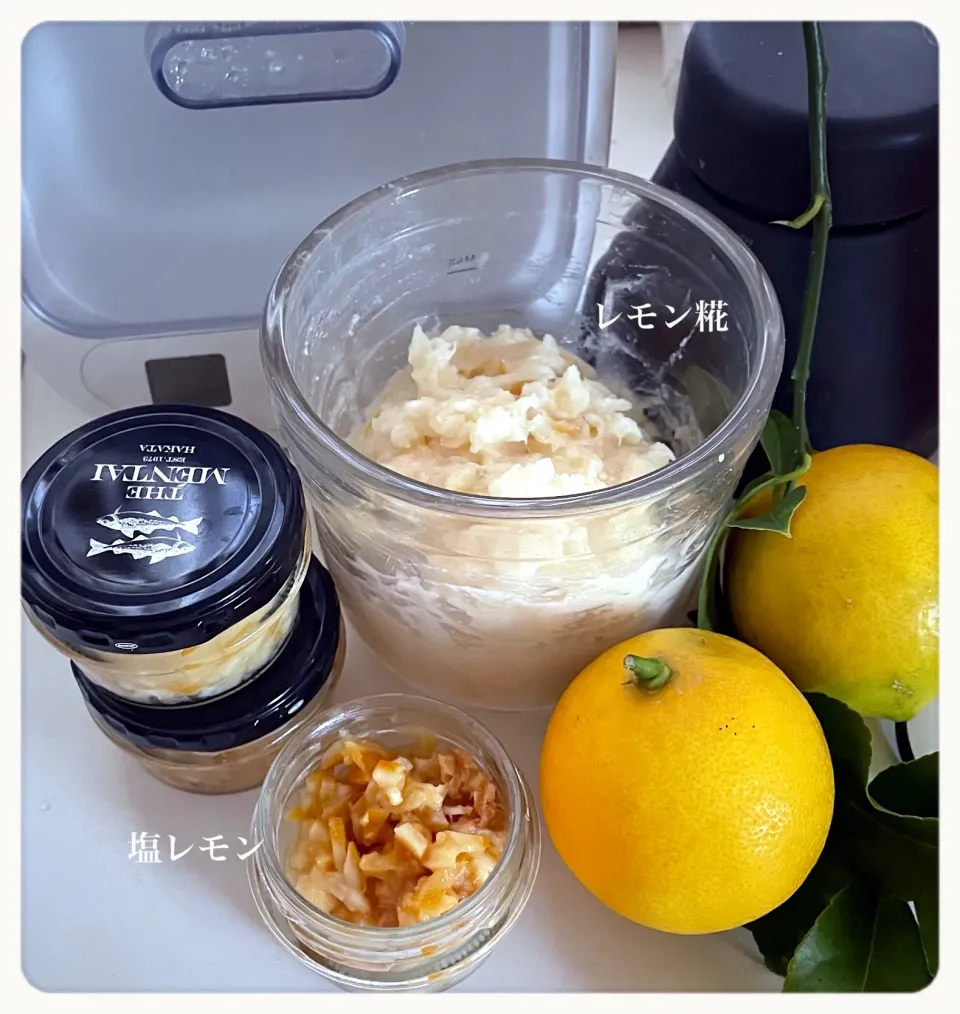 レモン糀🍋                                       塩レモン🍋|yucca@さん