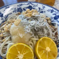 すだちうどん|さんだーさん