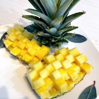 パイナップル|キヨさん