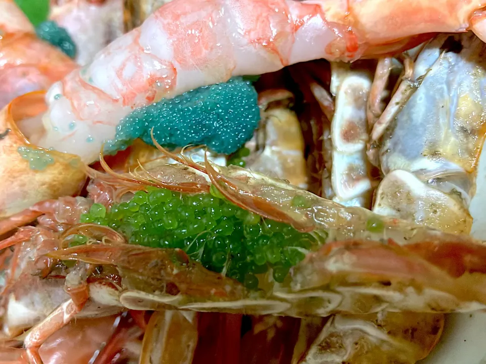 3日前の酒の肴 幻のエビと呼ばれてるらしいが🙄 時化で良い魚🐟がないので冷凍庫から【モサエビ】上と【ガラモサエビ】下 どちらもキラキラキャビアみたいな綺麗な子持ち|🐈⸒⸒⸒⸒つるのダンス🐈🐾さん