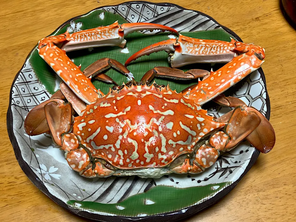 活き渡り蟹のオス（コレは台湾ガザミって種類のオス）をすぐに蒸して ( *´艸`)身がどっさり|🐈⸒⸒⸒⸒つるのダンス🐈🐾さん