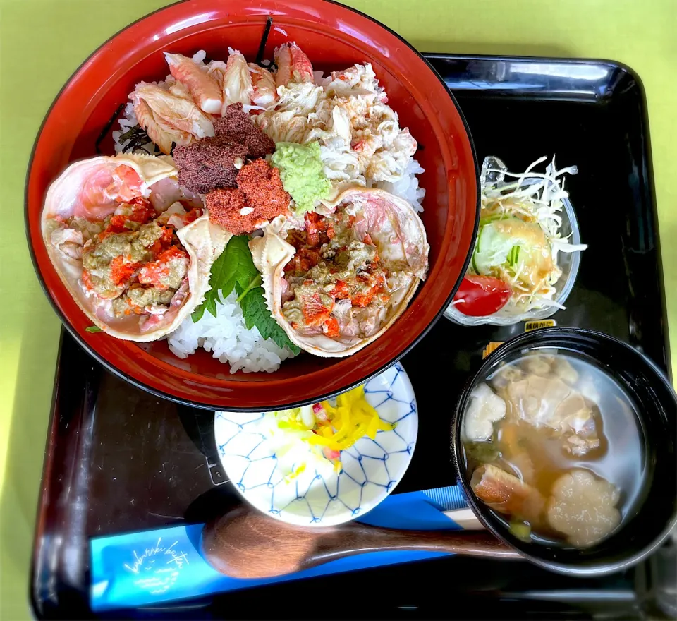 越前蟹　セイコ丼|藤田 まり子さん