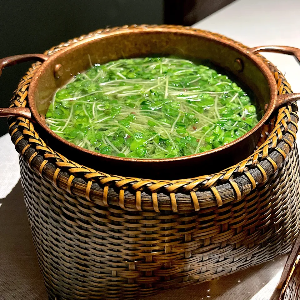 鸡汤萝卜苗|skyblueさん