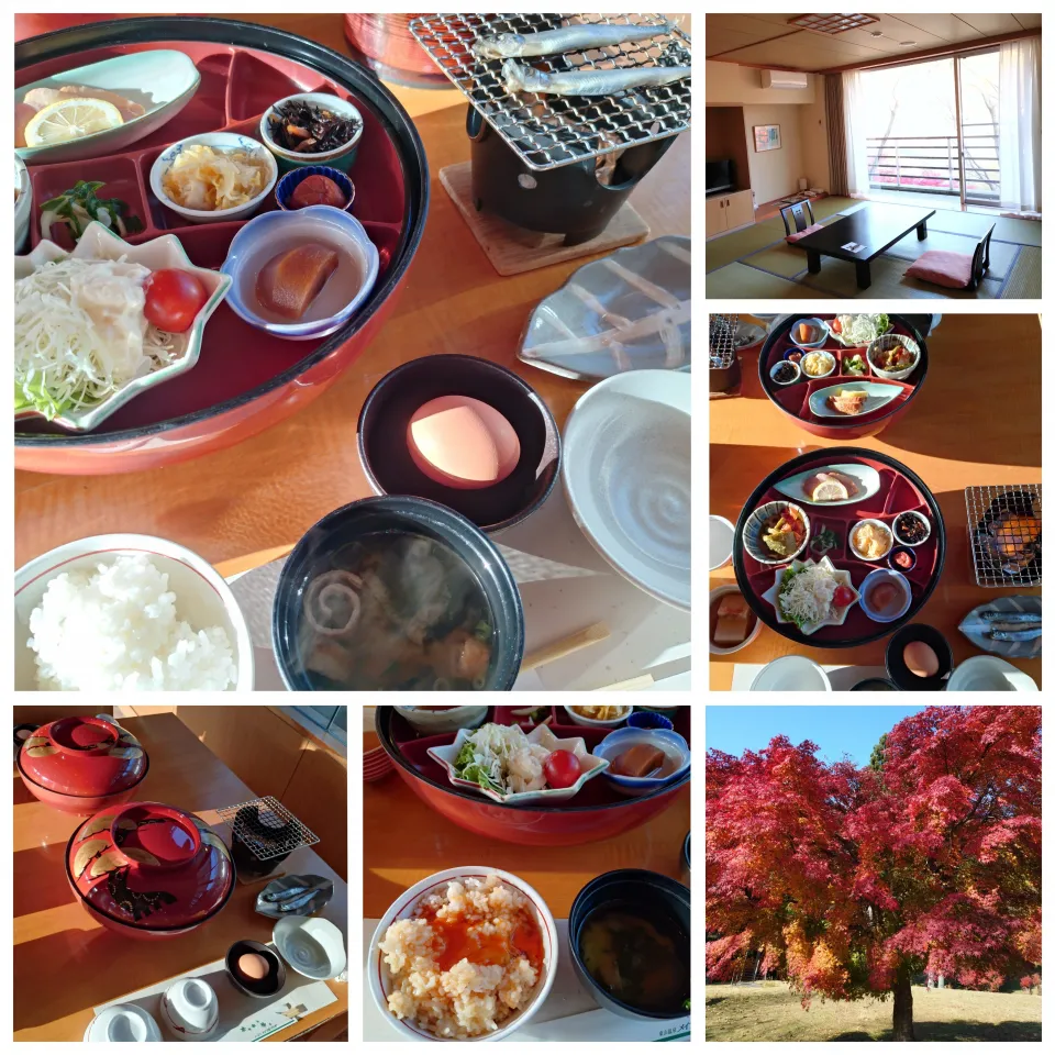 旅館の朝ごはん|うたかた。さん