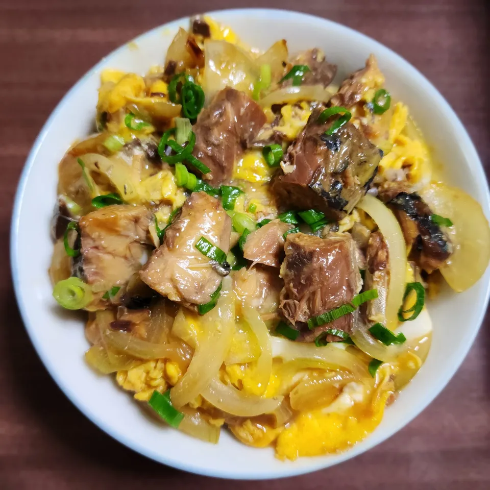 さば缶玉子丼|ひろにぃさん