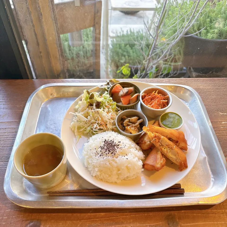 鮭と山芋の揚げ春巻き|ちゃみこさん