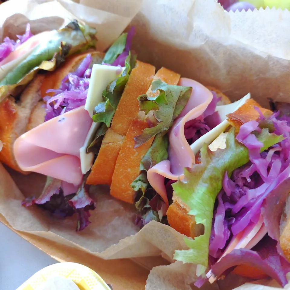 ハム、チーズ、紫キャベツのラペのサンドイッチ|あゆみ│ハレシピさん