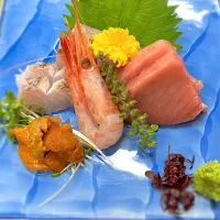 本日のお造り|料理長さん