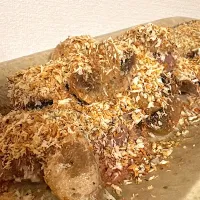 鹿肉のマジックソルトパン粉焼き| ChiMiさん