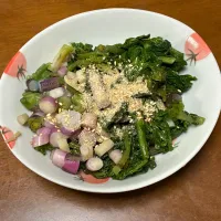 ダイコン間引き菜|ryoo_pyさん