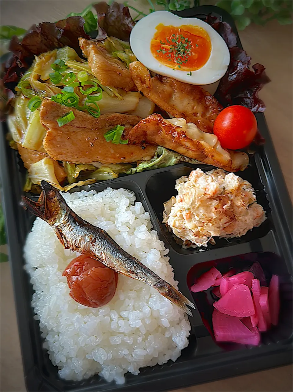 今日のお弁当|みゆき𐤔(◍´͈ ᵕ `͈ ◍)𐤔さん