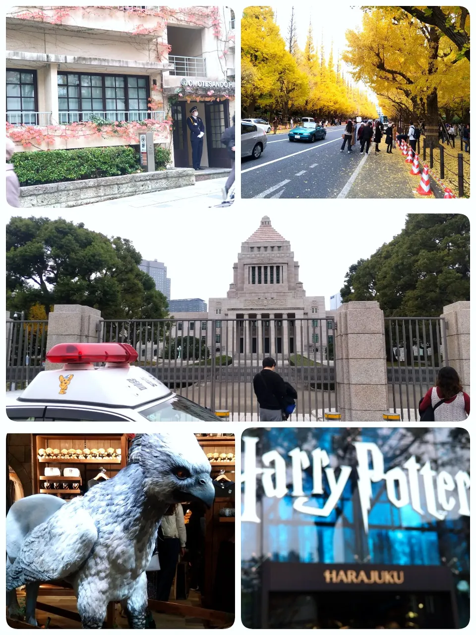 お江戸一人旅|ぶりさんさん