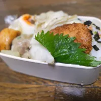 #お弁当　包まない焼売　焼きがんもどき　白舞茸の粗挽き胡椒ソテー　冷凍ソースカツ|まな☆さん