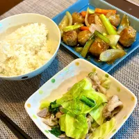 鶏団の甘酢炒めと豚肉キャベツの塩炒め|⭐︎まーしー⭐︎さん