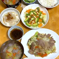 肉野菜炒め🥬🥩🥕🧅|Makokoさん