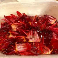 ローゼルの生姜甘酢漬け|えりぺいさん