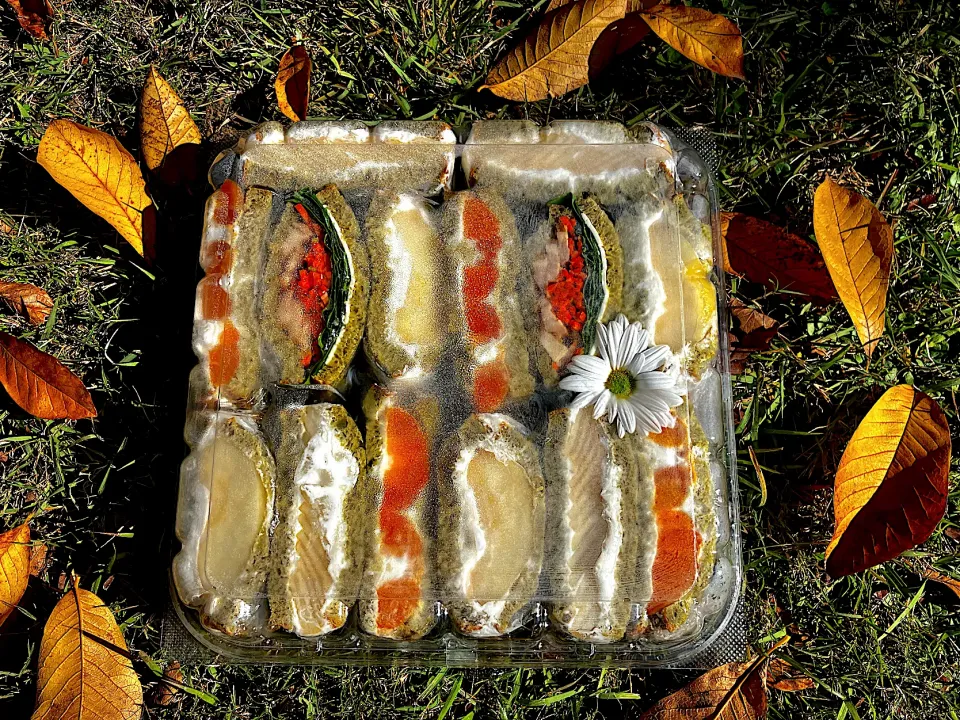 ＊フルーツサンドピクニック🧺🍐🍊✨＊|＊抹茶＊さん