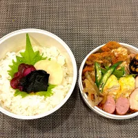 高校生息子のお弁当🍱 鯵の大葉フライ弁当🍱|Snow10さん