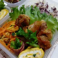 にんじんしりしりー鶏照り焼き弁当| yayoi.Kさん