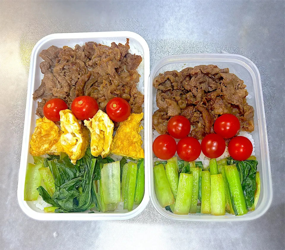 11/25  子の弁当&自分弁当|なかちゃんたまごさん