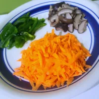 |Marissa Bakshさん