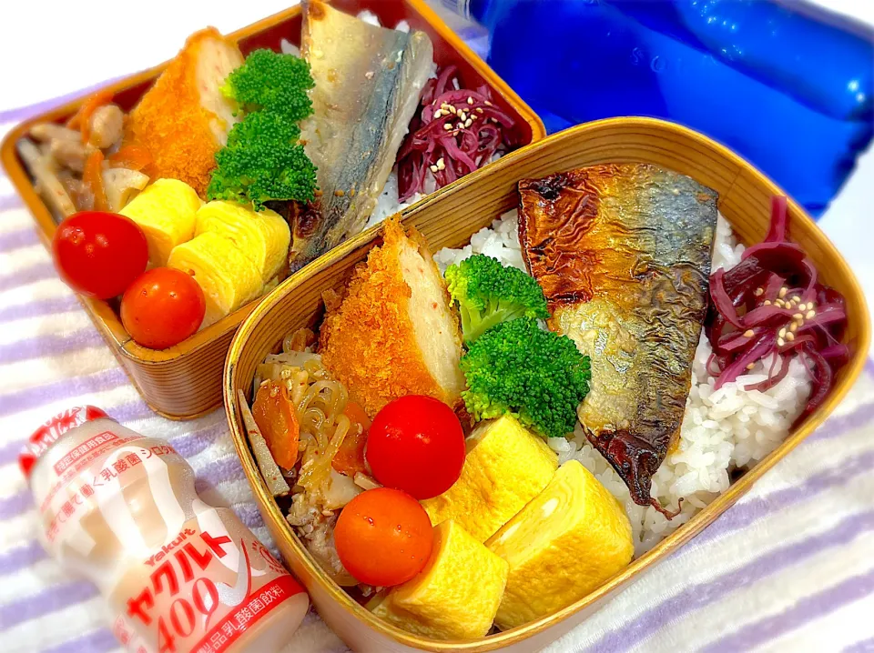 今日の夫婦弁⁽⁽ ◟(灬 ˊωˋ 灬)◞ ⁾⁾💕|桃実さん