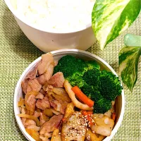 豚にんにく醤油炒めと蓮根きんぴらのお弁当|＊ayabianさん