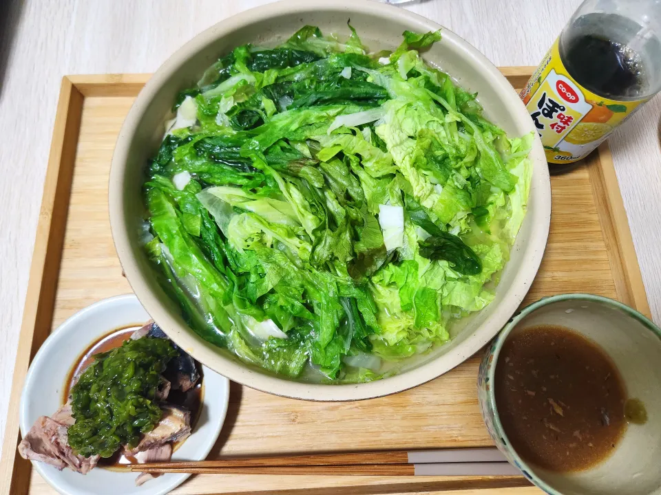 レタスと白菜と鶏胸肉のしゃぶしゃぶ鍋|みっちょんさん