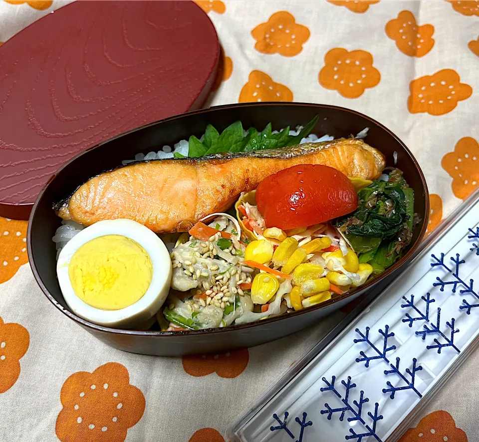 自分弁当🍱|がおりんさん