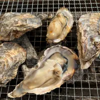 焼き牡蠣🦪|ハマーさん