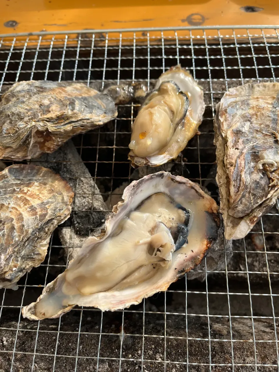 焼き牡蠣🦪|ハマーさん