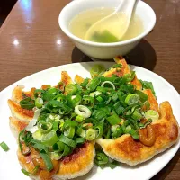 ねぎ味噌餃子8個|かぬさん