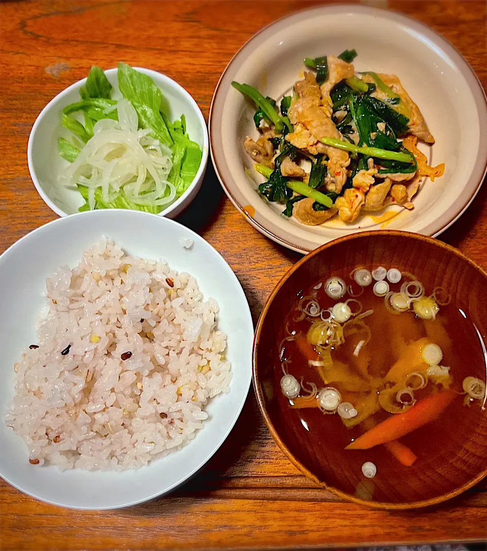 今日の昼食|ミコさん