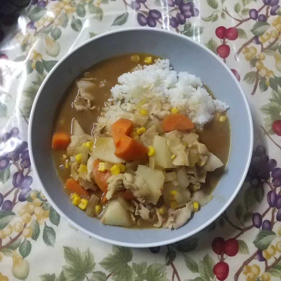 カレーライス  じゃがいもの代わりに大根|はやとさん