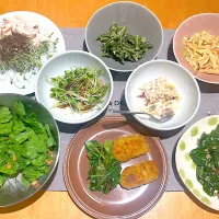 火曜日の居酒屋|ビューリップさん