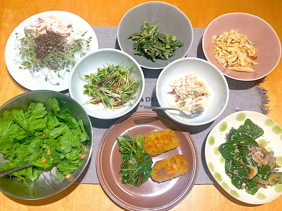 火曜日の居酒屋|ビューリップさん