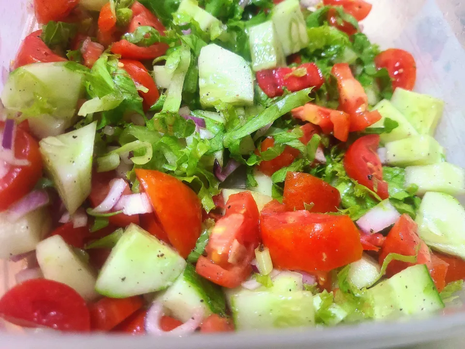 Fresh Salad|Marissa Bakshさん