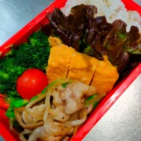 豚バラもやしとだし巻き玉子弁当|アボカド🥑さん