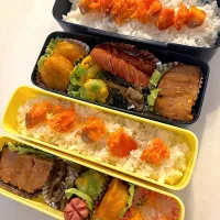 今日のお弁当🍱|Chikaーーさん