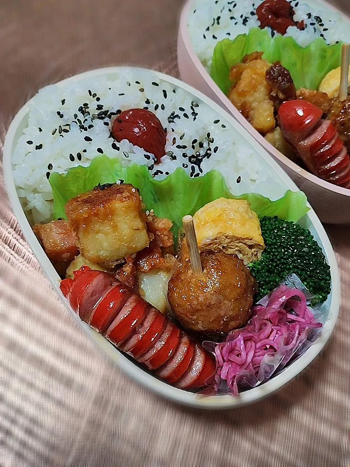 2025.11.26 #110|akiko.sさん