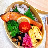 お弁当|BVY＊さん