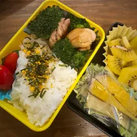 251126 鶏もも肉🥦コンソメ味|GO GO ぴょんきちさん