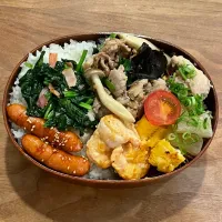 山盛り弁当| michikaさん