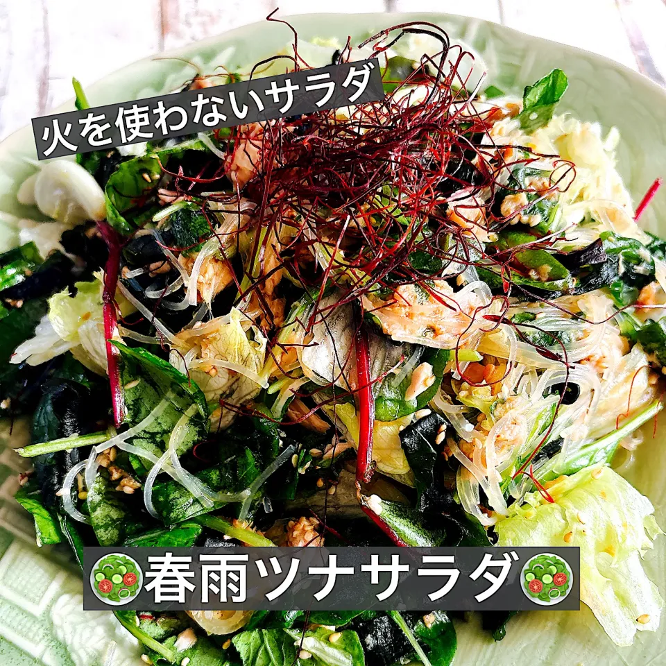 🥗春雨ツナサラダ🥗|ボナペティさん