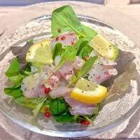 レンコダイのカルパッチョ|takaさん