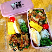 今日のお弁当|Daikiさん