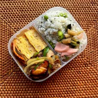 鶏そぼろ卵とプルコギ弁当✴︎|あやみんさん